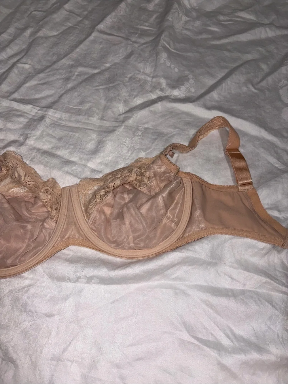 Prima Donna nwot prima